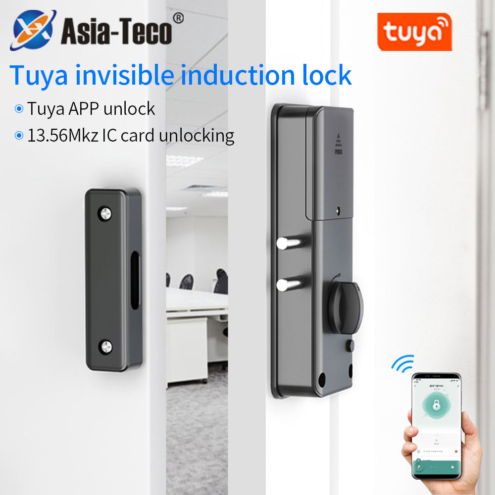 Smart Door Lock Tuya App - Smart Electric Motor Lock With Tuya