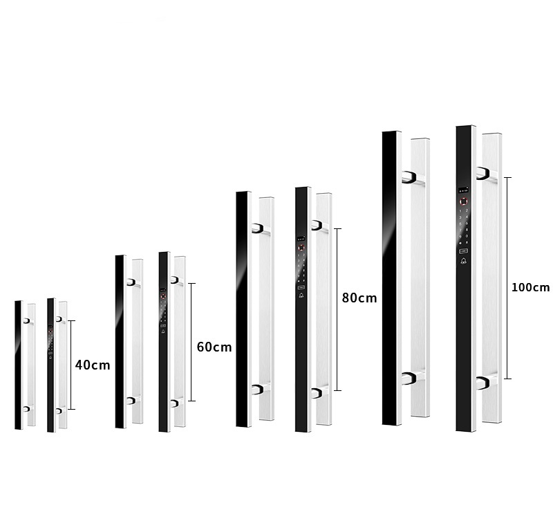 Digital Door Lock Fingerprint Handle - VIANS APP 80CM Double Door Smart