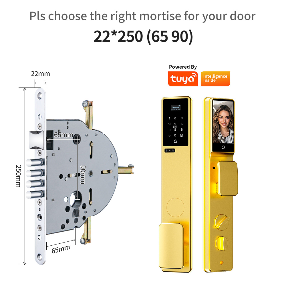 Waterproof 3D Face Recognition - Smart Door Lock 3D Face Palm Vein review and price