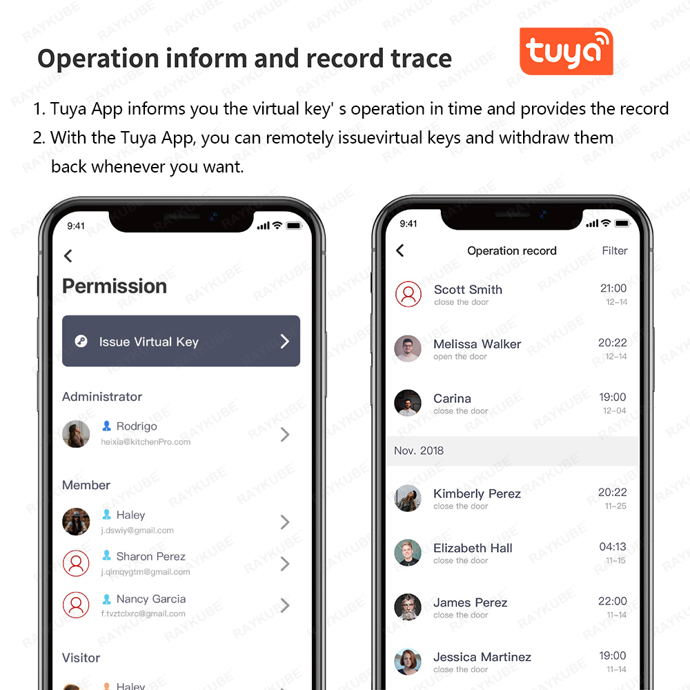 RAYKUBE A1 Pro Tuya BEL Smart  - Smart Door Lock Tuya App review and price