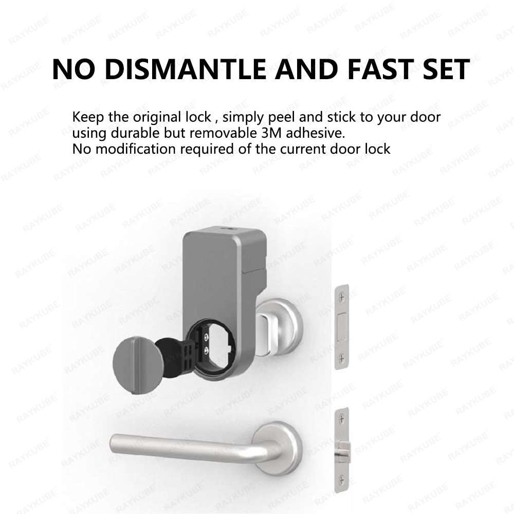 RAYKUBE A1 Pro Tuya BEL Smart  - Smart Door Lock Tuya App review and price