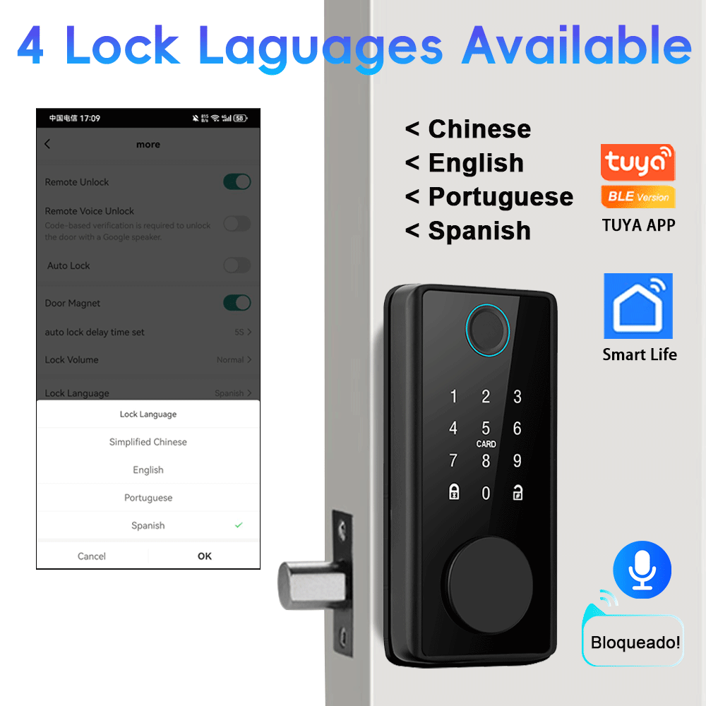 RAYKUBE DS01 4-language Tuya B - Smart Lock Deadbolt Keypad Bluetooth review and price