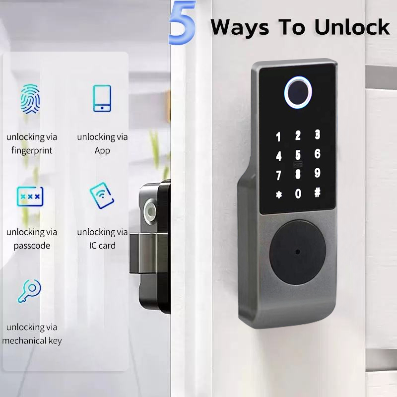 Enrique Tuya Waterproof Outdoo - Smart Rim Lock Wifi Fingerprint review and price
