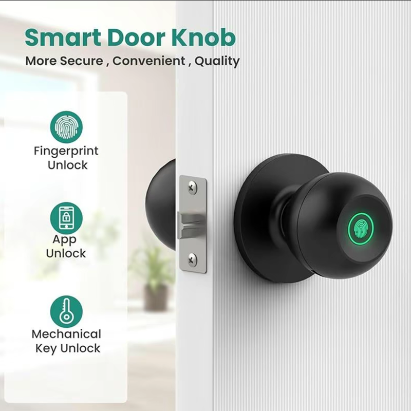 Bluetooth Tuya APP Control Sma - Fingerprint Padlock Weatherproof review and price