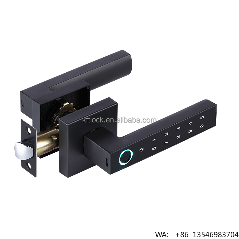 Digital Electric Password Fing - Digital Door Lock Fingerprint Handle review and price