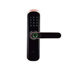 WiFi Fingerprint Lock Touch Sc - Digital Door Lock Fingerprint Handle review and price