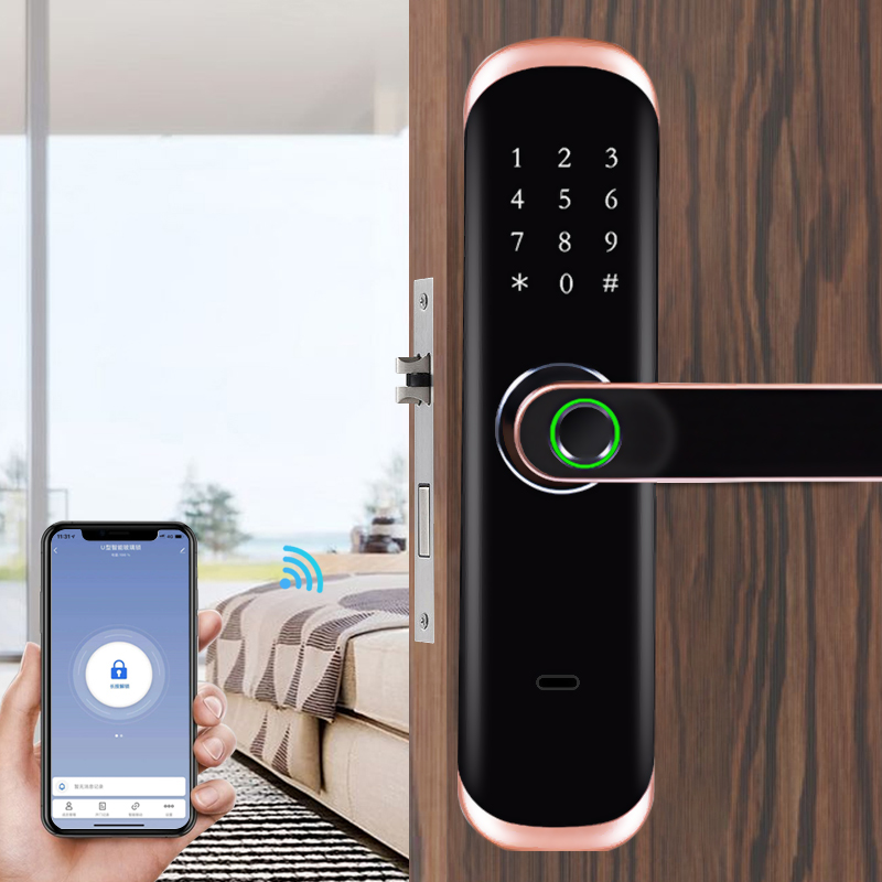 WiFi Fingerprint Lock Touch Sc - Digital Door Lock Fingerprint Handle review and price