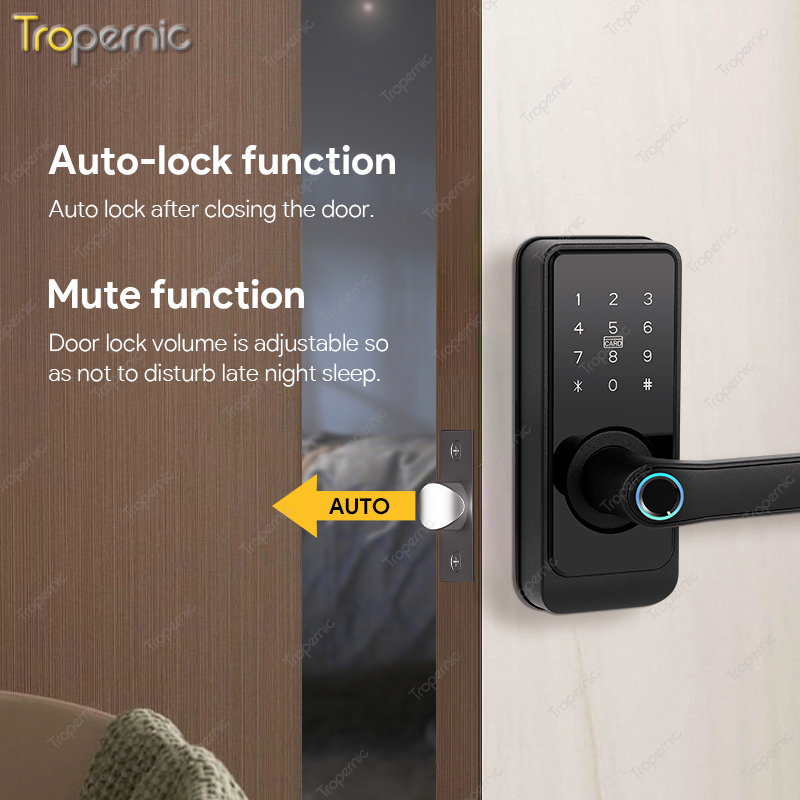 Smart Deadbolt Tuya SmartLife  - Smart Lock Deadbolt Keypad Bluetooth review and price