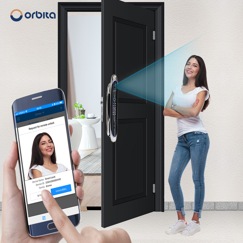 Orbita Stainless Steel Externa - Face Recognition Door Lock review and price