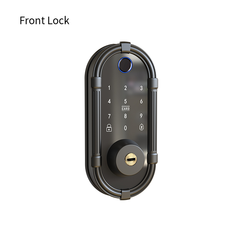 Smart Interior Biometric Finge - Smart Door Lock Fingerprint Wifi review and price