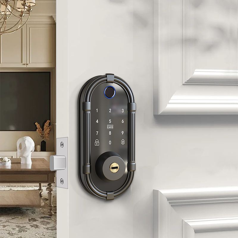 Smart Interior Biometric Finge - Smart Door Lock Fingerprint Wifi review and price