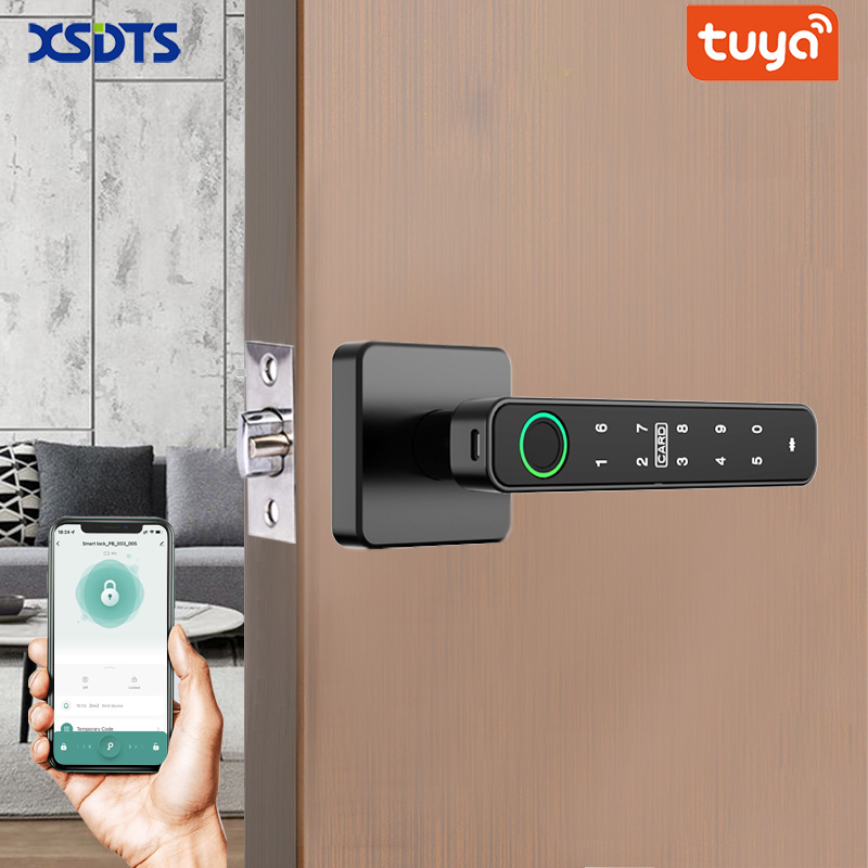 XSDTS Tuya Handle Fingerprint  - Digital Door Lock Fingerprint Handle review and price