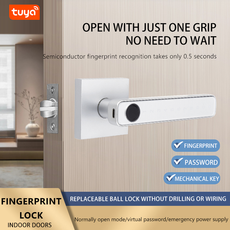 Fingerprint Door Lock Digital  - Digital Door Lock Fingerprint Handle review and price