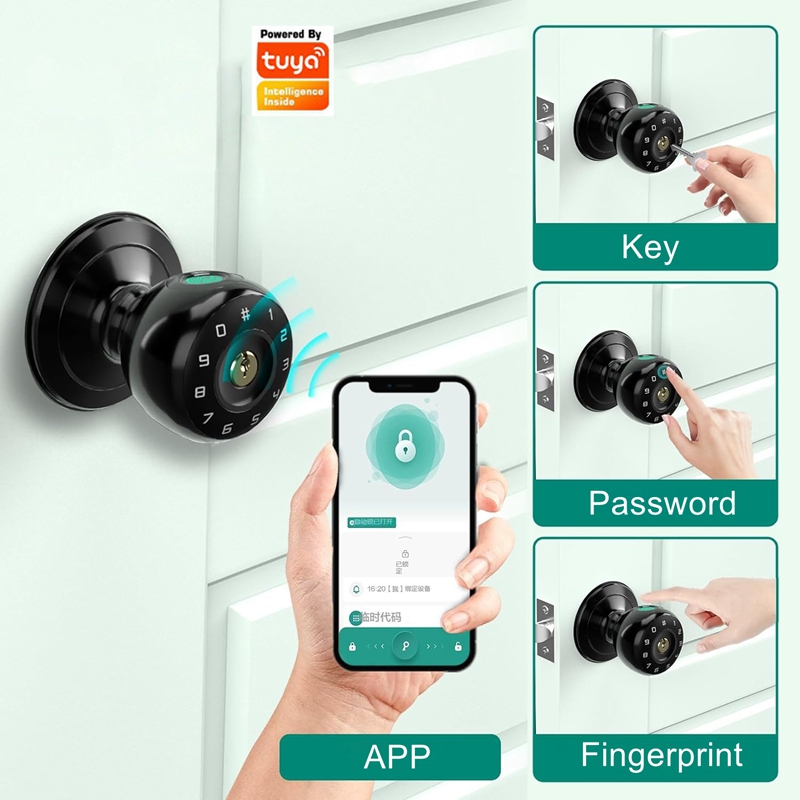 Tuya Fingerprint Smart Deadbol - Smart Lock Deadbolt Keypad Bluetooth review and price