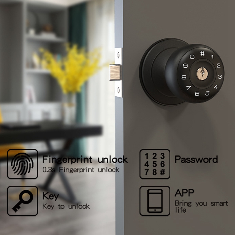 Tuya Fingerprint Smart Deadbol - Smart Lock Deadbolt Keypad Bluetooth review and price