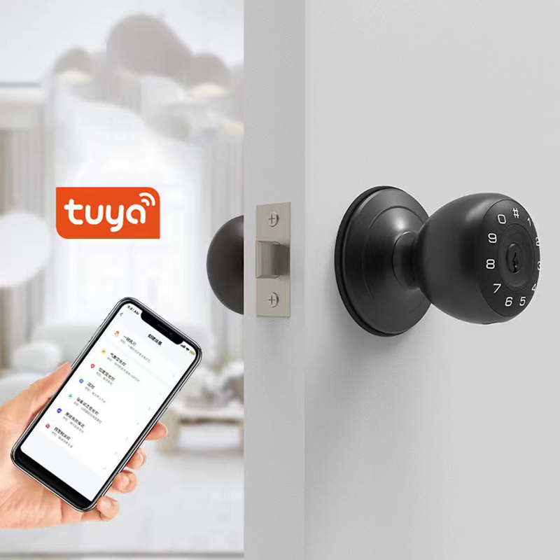 Tuya Fingerprint Smart Deadbol - Smart Lock Deadbolt Keypad Bluetooth review and price