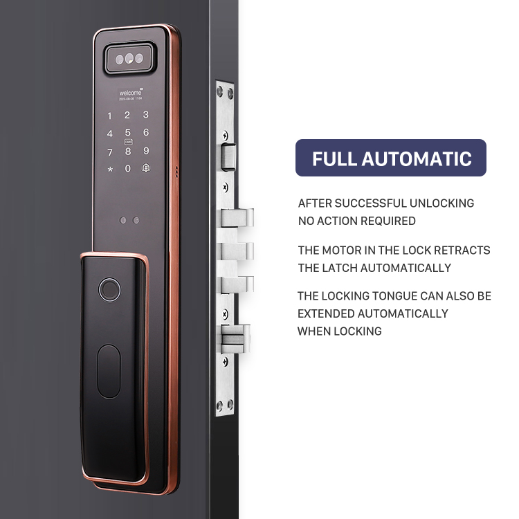 Factory Price Real Time Video  - Smart Door Lock With Camera Intercom review and price