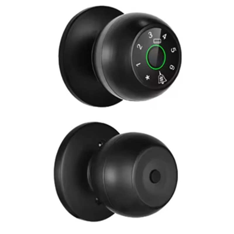【ADD TO CART 】Tuya Bluetooth S - Digital Door Lock Fingerprint Handle review and price