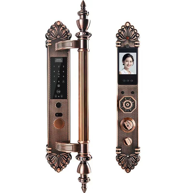 Waterproof  Wireless 3D Face & - Face Recognition Door Lock review and price