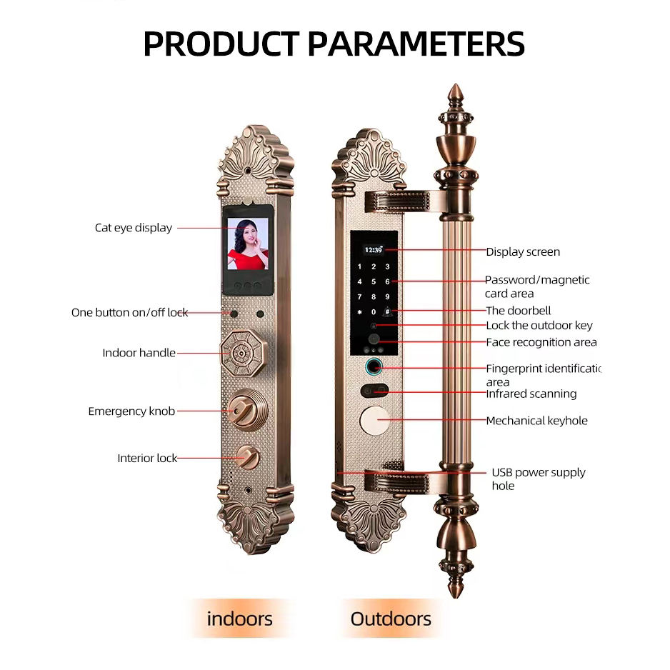 Waterproof  Wireless 3D Face & - Face Recognition Door Lock review and price