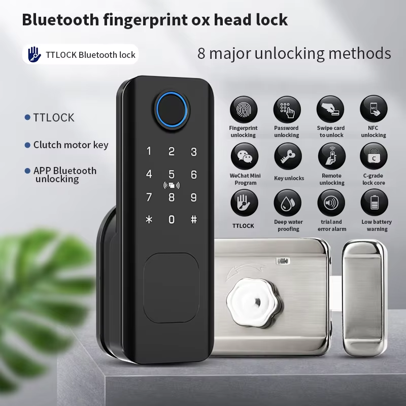 Beginnerr Tuya Ttlock Outdoor  - Smart Rim Lock Wifi Fingerprint review and price