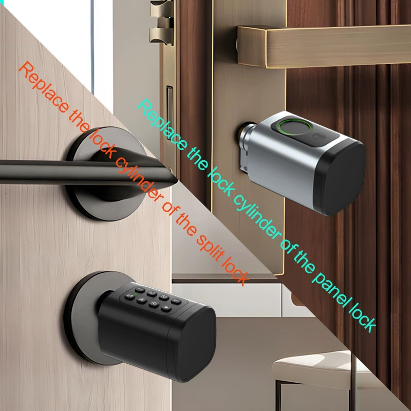 60-90mm Adjustable TT Lock/ Tu - Smart Door Lock Tuya App review and price