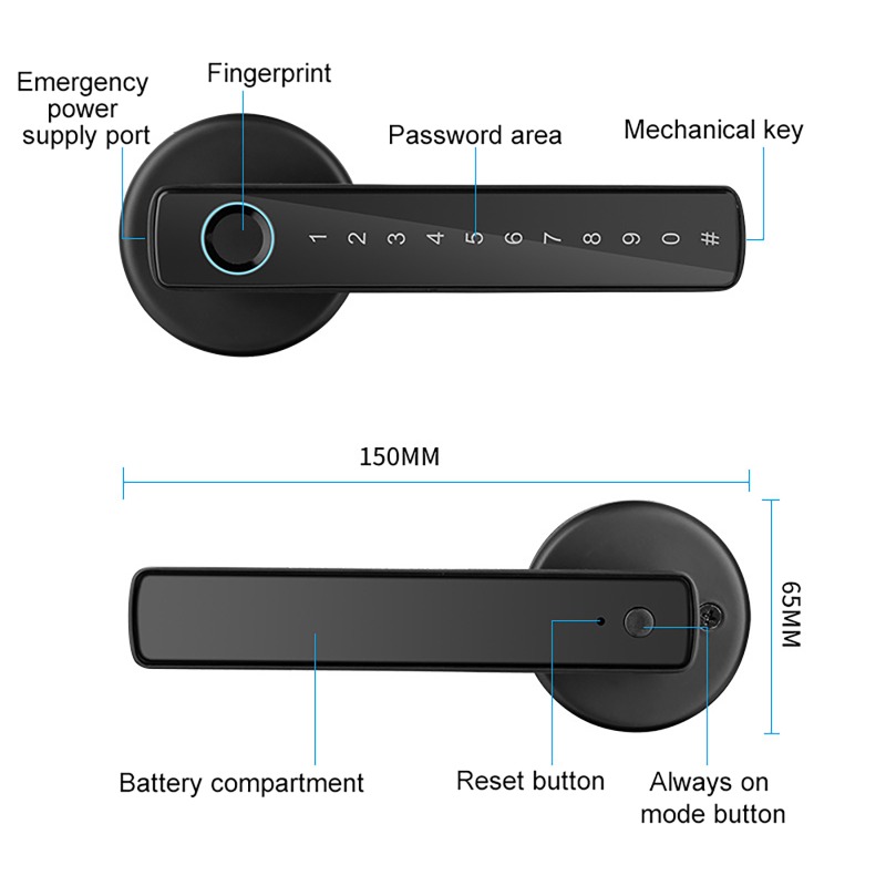 Tuya Smart Fingerprint Lock Bl - Digital Door Lock Fingerprint Handle review and price