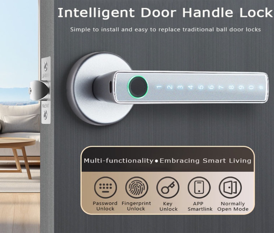 Tuya Smart Fingerprint Lock Bl - Digital Door Lock Fingerprint Handle review and price