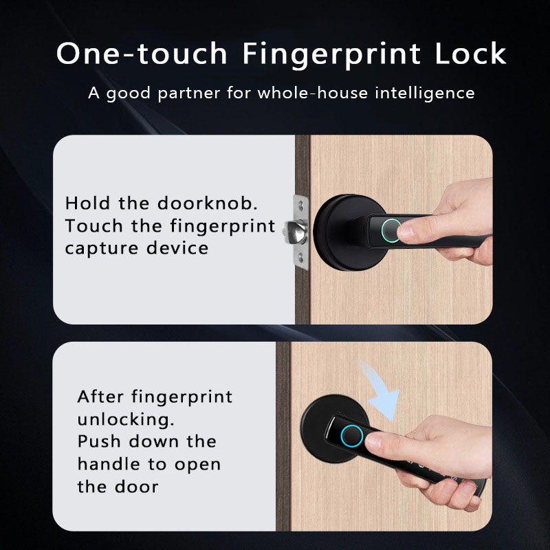 Tuya Smart Fingerprint Lock Bl - Digital Door Lock Fingerprint Handle review and price
