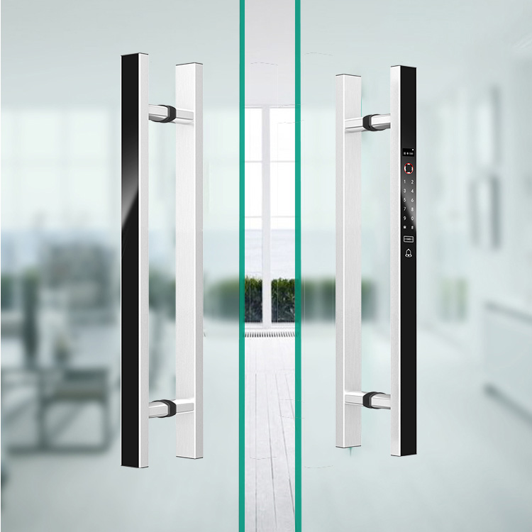 VIANS APP 80CM Double Door Sma - Digital Door Lock Fingerprint Handle review and price