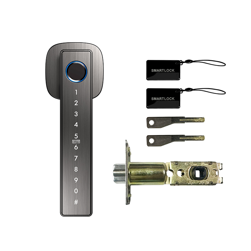 Tuya Bluetooth Fingerprint Sma - Smart Lock Deadbolt Keypad Bluetooth review and price